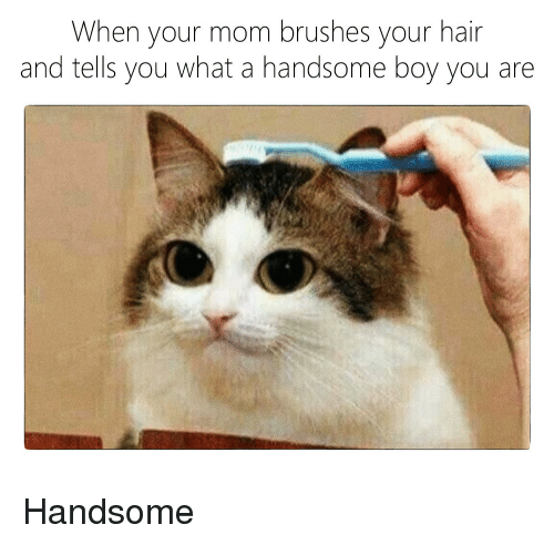 When your mom brushes your hair and tells you what a handsome boy you are 